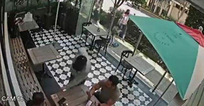 A plena luz del día y en solo segundos, un sujeto armado entra a un negocio y roja reloj de uno de los comensales; todo fue grabado