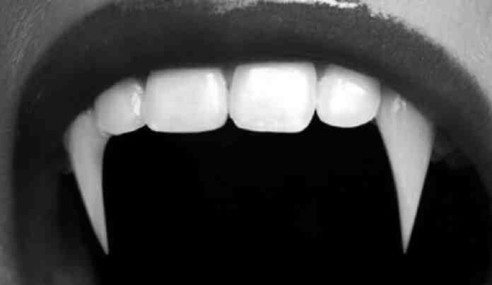 ¿Eres artista o te gusta dibujar? Pinta en vivo un vampiro el próximo viernes en Playa del Carmen