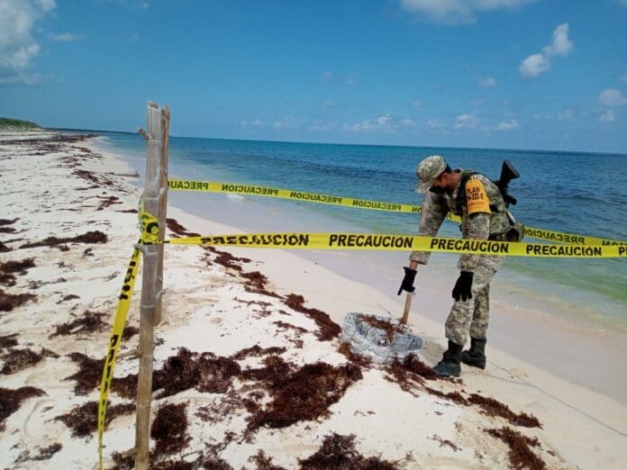 Un nuevo recale de droga en Cozumel; se descubrieron 28 paquetes envueltos en cinta que contenían sustancias ilícitas