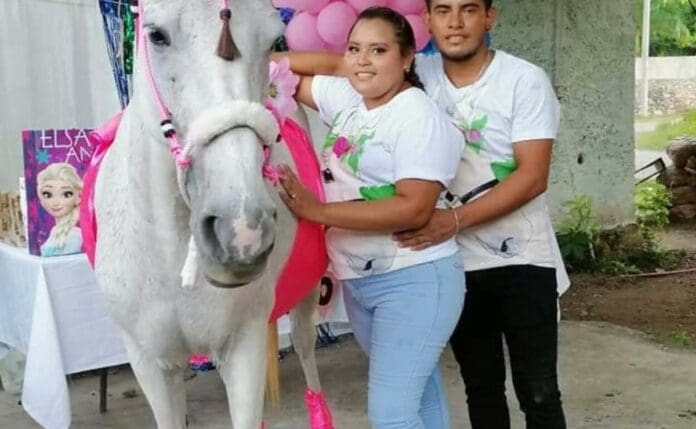 Celebran babyshower a yegua en Tixpéhual, Yucatán; la familia la ve como su 