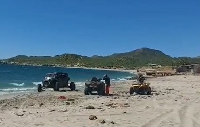 En redes sociales hicieron la denuncia de una tortuga marina que fue atropellada por un vehículo de tipo 