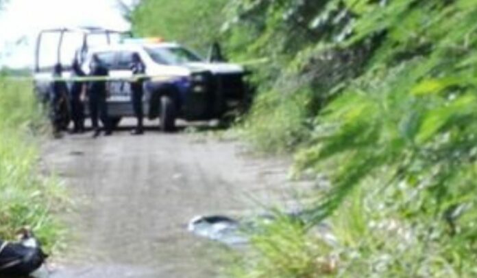 Hallan cuerpo embolsado junto a carretera en Bacalar