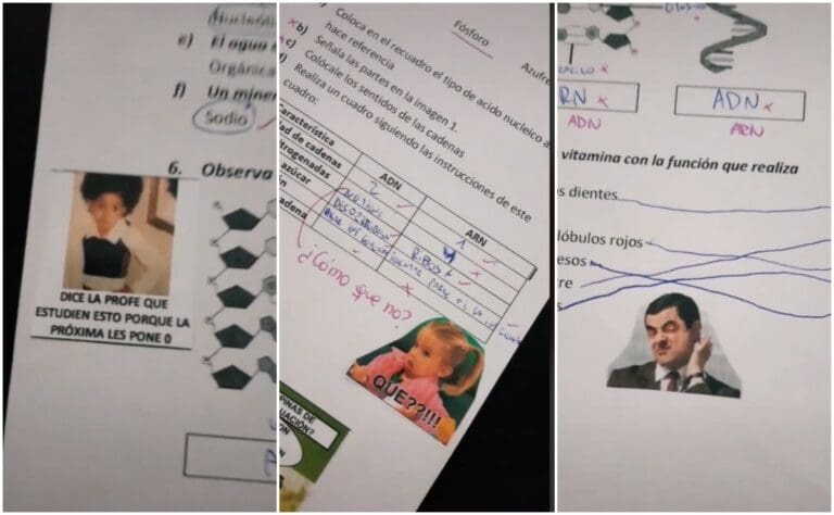 Maestra corrige a sus alumnos con stickers y se vuelve viral