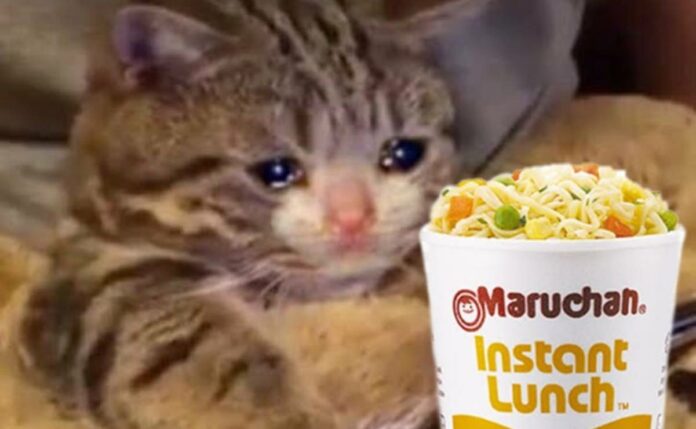 ¿Se va Maruchan? Profeco revela cuáles son las 12 sopas instantáneas retiradas del mercado