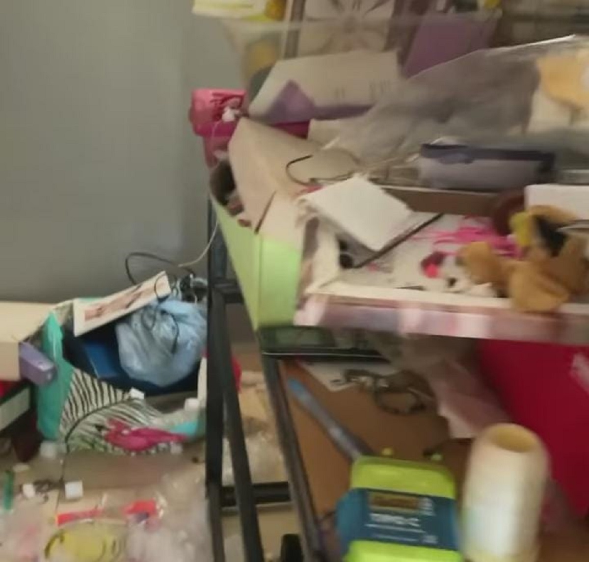 VIDEO: Buscan a inquilina por dejar casa hecha un asco en Real Ibiza y escapar sin pagar adeudo