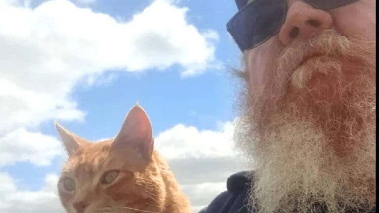 Gato salva a hombre de mordedura de venenosa serpiente tigre