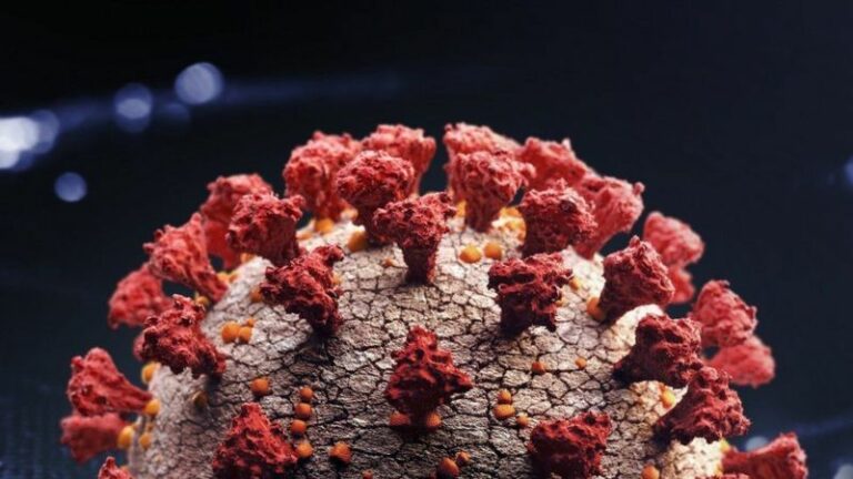 ENTÉRATE| ¿Por qué la nueva variante de Covid-19 se llama Omicron?