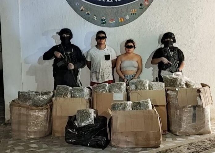 ecomisan 65 kilos de marihuana y detienen a dos en Playa del Carmen