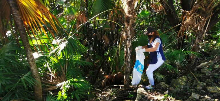 Gobierno de BJ trabaja por un Cancún limpio y sustentable