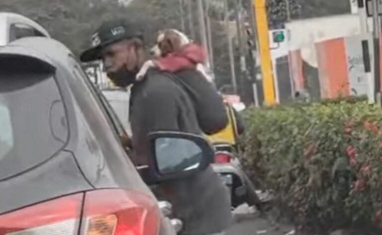 Joven limpia vidrios acompañado de su perrito