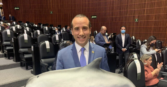 diputados vaquita marina