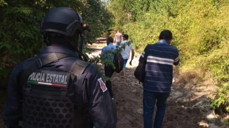 Reportan un león suelto en los alrededores de Culiacán