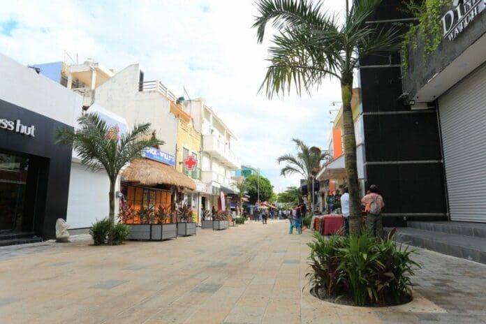Han dado inicio los trabajos de reforestación en la Quinta Avenida de Solidaridad, la más emblemática avenida del destino turístico.