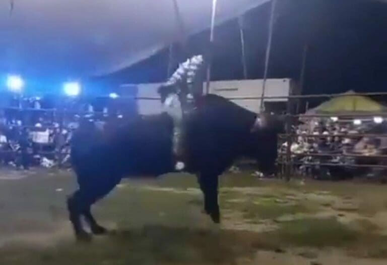 Un menor de solo 15 años de edad murió tras ser atacado por un toro durante un jaripeo. Las graves lesiones le quitaron la vida a este joven.