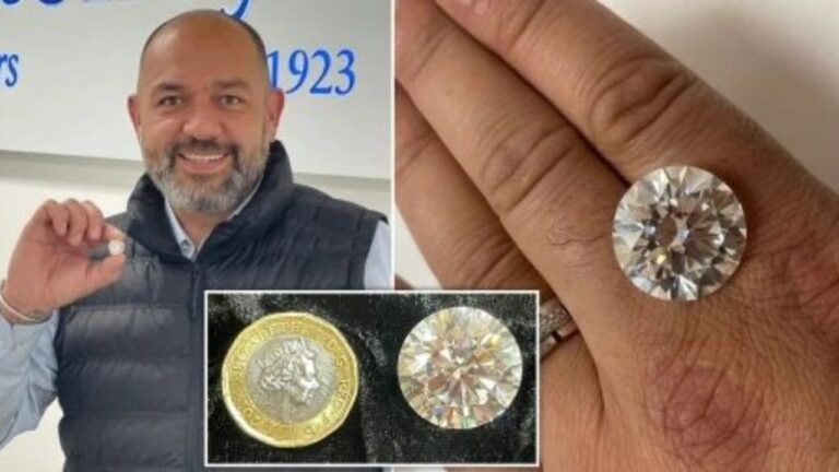 Mujer casi tira a la basura un diamante de 2.7 MDD, pensó que era una “baratija”