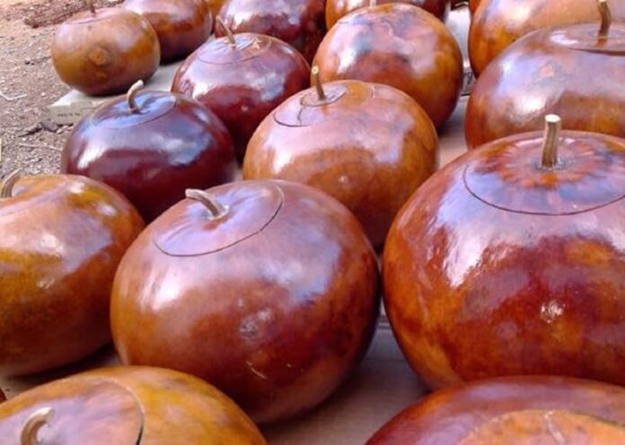 Artesano de Maní, Yucatán, preserva la tradición maya de trabajar Lek