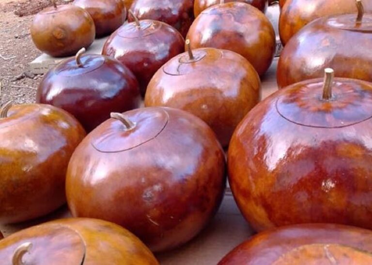 Artesano de Maní, Yucatán, preserva la tradición maya de trabajar el Lek