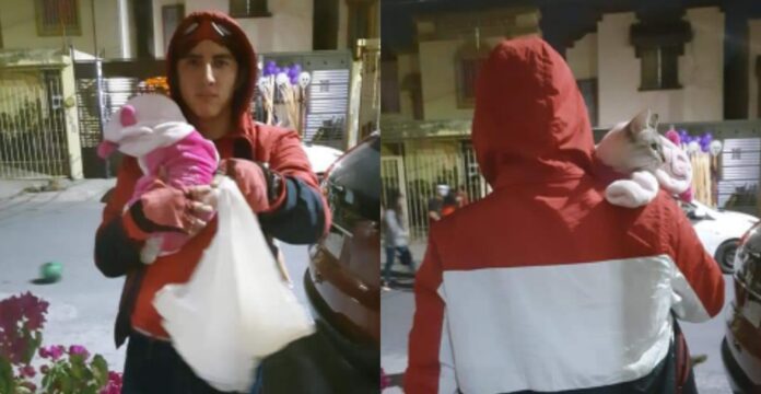 Alertan sobre joven que pide dulces para su bebé, que es un gatito y enternece a las redes