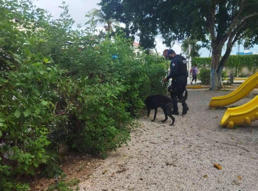 OPERATIVO PARA ENCONTRAR A CRISTAL