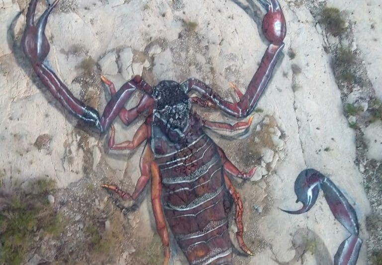 Artista urbano crea escorpión gigante en el Cerro de las Noas de Torreón