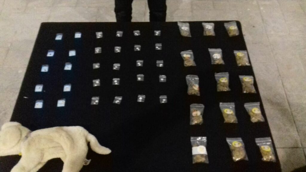 NARCO-OSITO: Lo detienen con peluche relleno de droga en Puerto Morelos