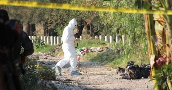 Hallaron varias bolsas con restos humanos en Celaya; las autoridades investigan cuántos cuerpos habría descuartizados. Foto: Cuartoscuro