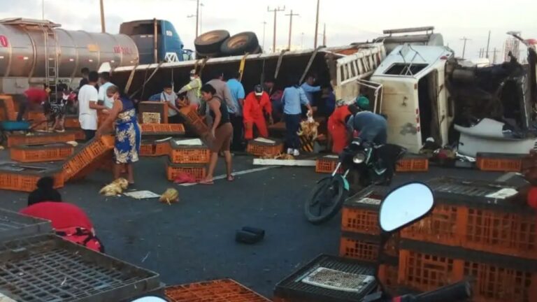 Vuelca tráiler cargado de pollos se desata rapiña en Veracruz