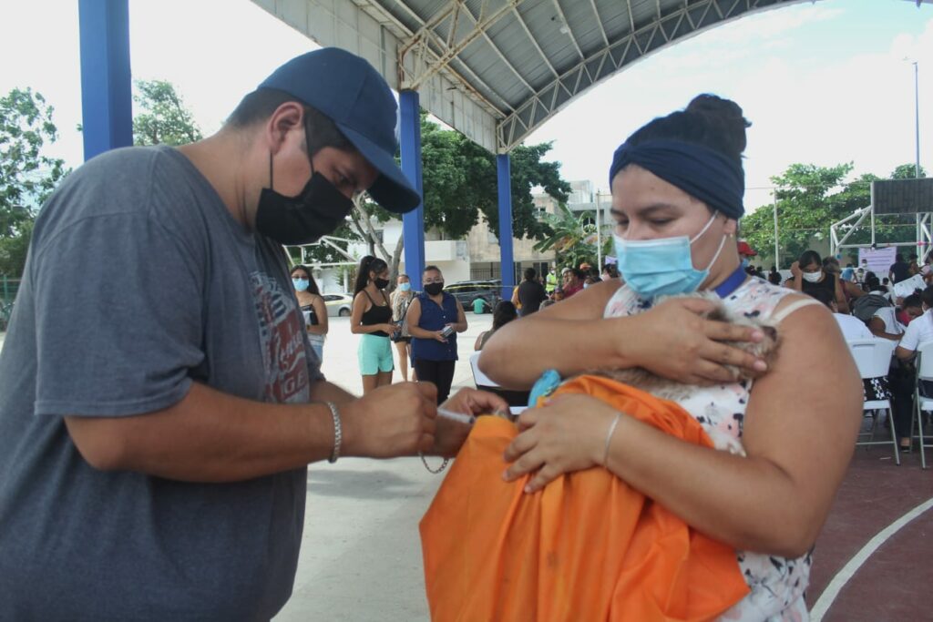 Gobierno de Solidaridad, acerca vacunación antirrábica a más de 500 mascotas
