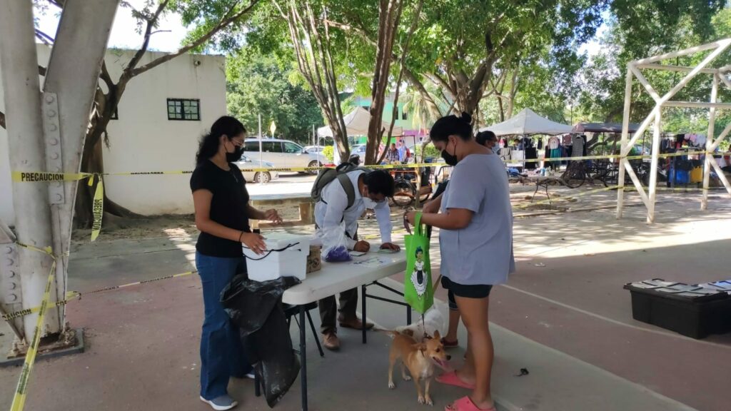 Gobierno de Solidaridad, acerca vacunación antirrábica a más de 500 mascotas