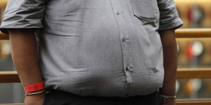 Un nuevo estudio ha detectado que una proteína podría ser de vital ayuda contra la obesidad, grave problema de salud a nivel mundial. Foto: Sin Embargo