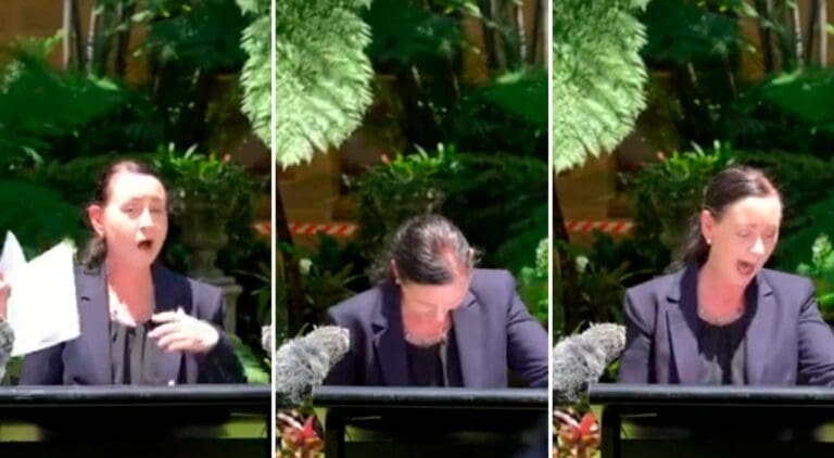 Enorme araña trepa sobre pierna de funcionaria en plena conferencia; así reaccionó