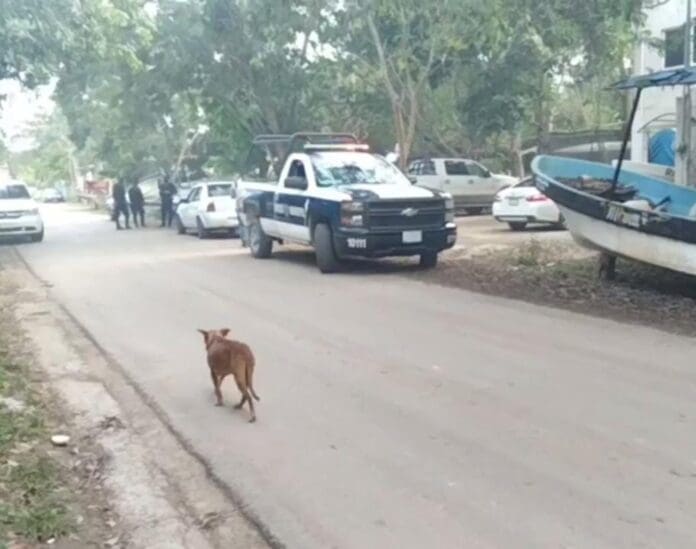 Comando se lleva a la fuerza a un joven de 24 años en Bacalar