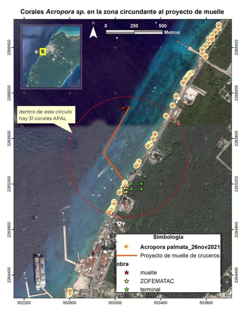 Critican aprobación de cuarto muelle de cruceros en Cozumel