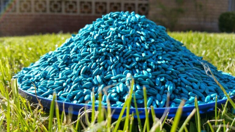 Niña pierde la vida tras inhalar vapores tóxicos provocados por un veneno para ratas