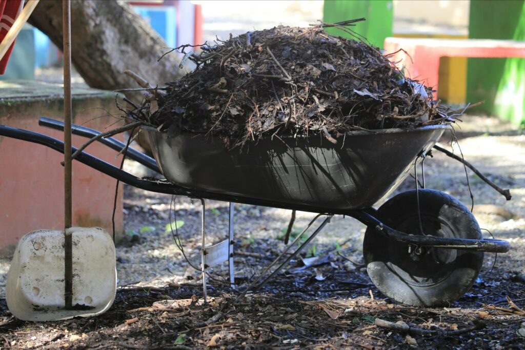 Juntos Gobierno de Solidaridad y padres de familia, recuperan planteles por un retorno seguro a clases  