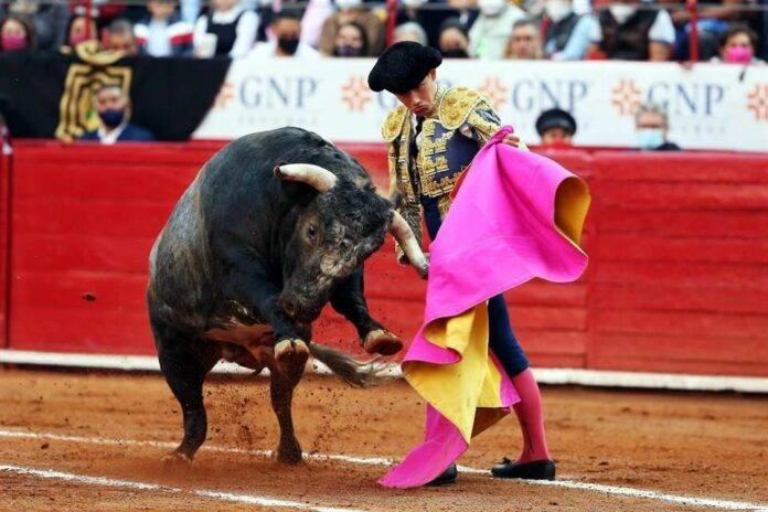 Presentarán proyecto para declarar la tauromaquia como patrimonio cultural en José María Morelos