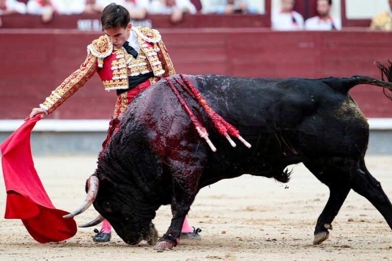 Avalan en comisiones prohibición de corridas de toros en CDMX