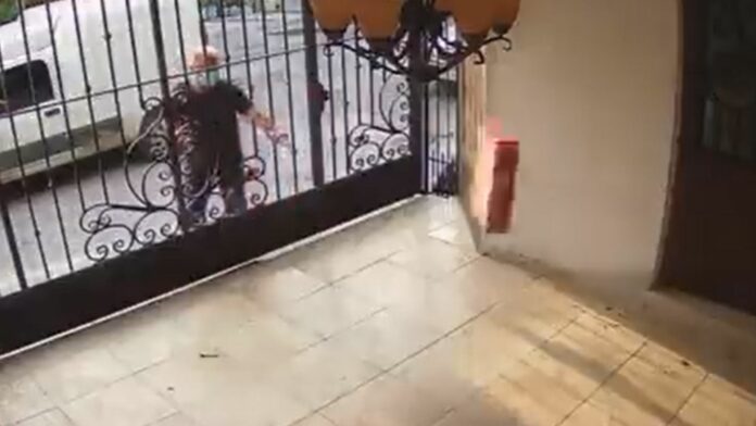 VIDEO: Denuncian a repartidor de Liverpool por dañar una laptop durante su entrega