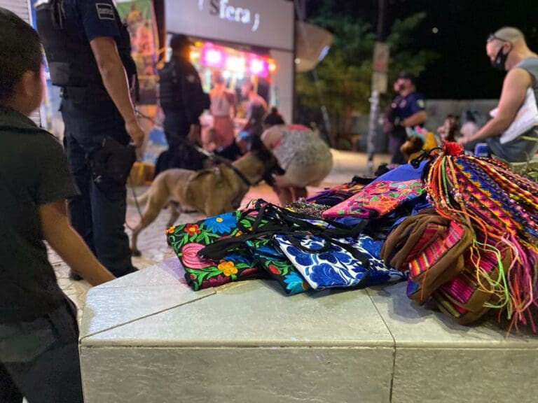 ALERTA rescatan a 7 niños y bebés que eran explotados en la Quinta Avenida