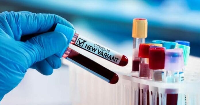 El subsecretario de Salud federal ha confirmado el primer caso de la variante Ómicron en nuestro país; se trata de una persona que fue a Sudáfrica. Foto: Integra Noticias