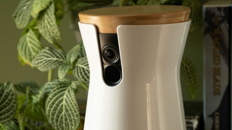 'Hola, hermosa', sujeto hackea la cámara para mascotas de una mujer para espiarla y lo denuncia