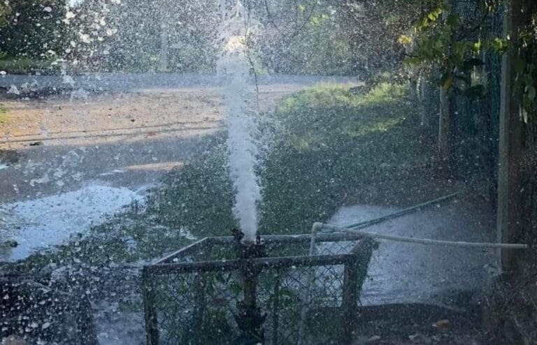 CAPA, crónica de un servicio deplorable