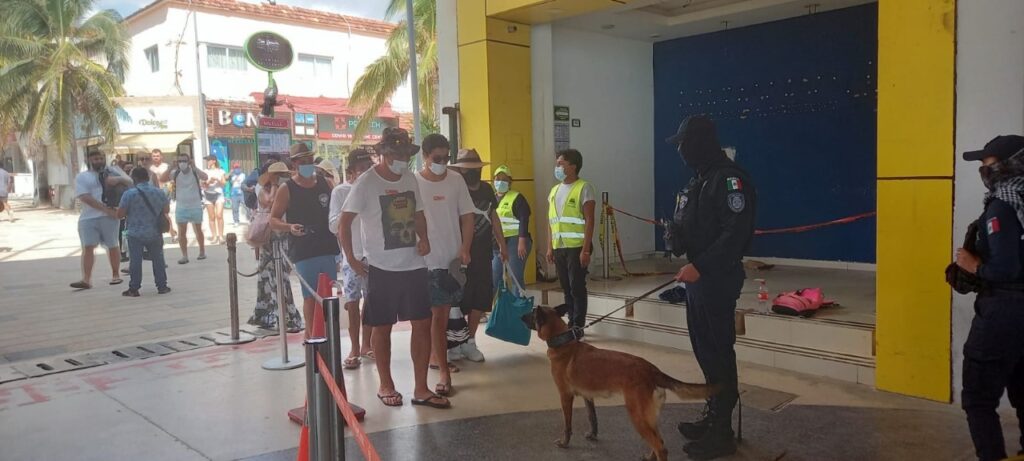 Quintana Roo cuenta con una Unidad Canina de la SSP para prevenir el delito y cuidar la salud de la gente