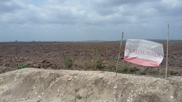 Conafor con la mira puesta en asentamientos menonitas en el sur de Q.Roo