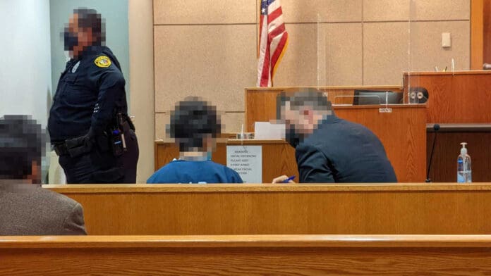 Hermanos de 13 y 16 años que apuñalaron y golpearon a su madre con un bate quedan detenidos