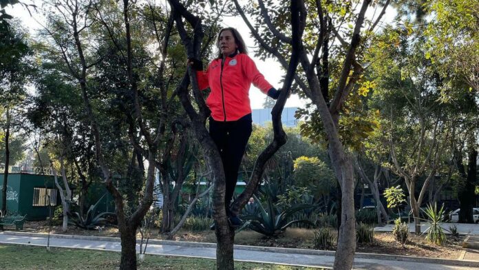 Arriba de un árbol desea Beatriz Gutiérrez un feliz domingo