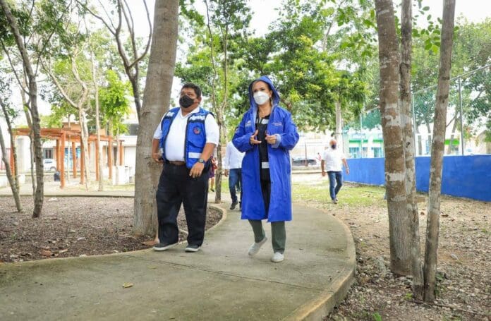 En tres meses Playa del Carmen va tomando orden; es una ciudad limpia y reforestada