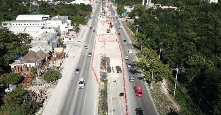 PLAYA DEL CARMEN|La 4T taló 20 mil árboles y gastó 478 MDP en Tren Maya para cambiar el trazo
