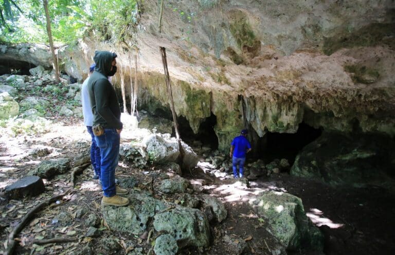 Protege gobierno municipal los recursos naturales con acciones a favor del medio ambiente