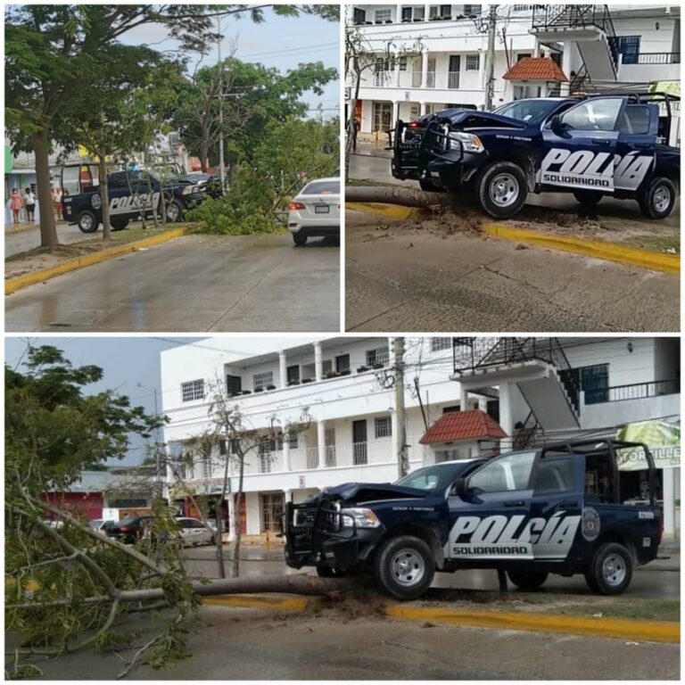 Esquiva a peatón y estrella patrulla contra árbol en Playa del Carmen